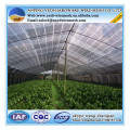 PLANT SUN SHIELD PROTECTION NETTING